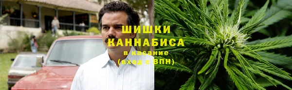 спайс Алексин