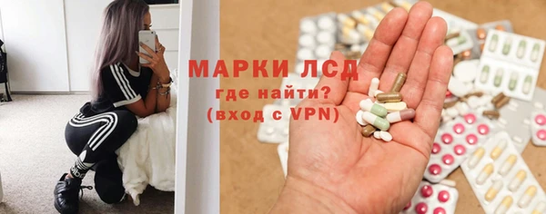apvp Алзамай