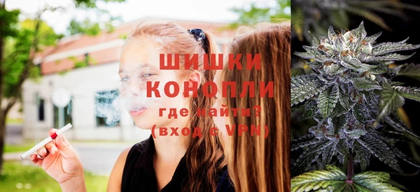apvp Алзамай